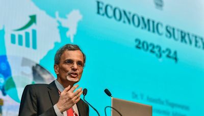 What does the economy need? The Economic Survey has few answers.