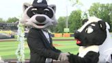 Minor League mascots tie the knot between innings