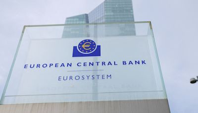 Bulgaria's euro zone accession could be delayed by months - cbank governor