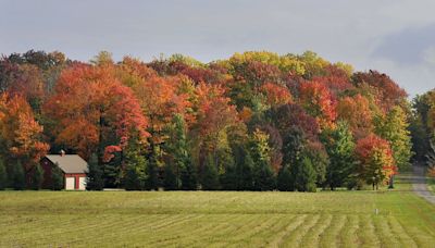 When will the leaves change color across Pennsylvania? Here's what we know