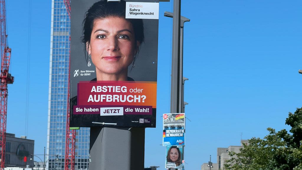 Could Germany's new left-wing conservative party seduce AfD's voters in European elections?