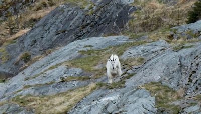 Alaska Daily Life