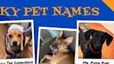 Watch: 'Wacky Pet Names' finalists include ChugChug Pickles, Steph Purrrry