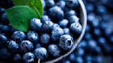 What Happens to Your Body if You Eat Blueberries Every Day, According to a Registered Dietitian