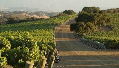 JONATA Celebrates 20 Years of Santa Barbara Wine Brilliance