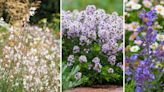 The most desirable soil type for a thriving garden