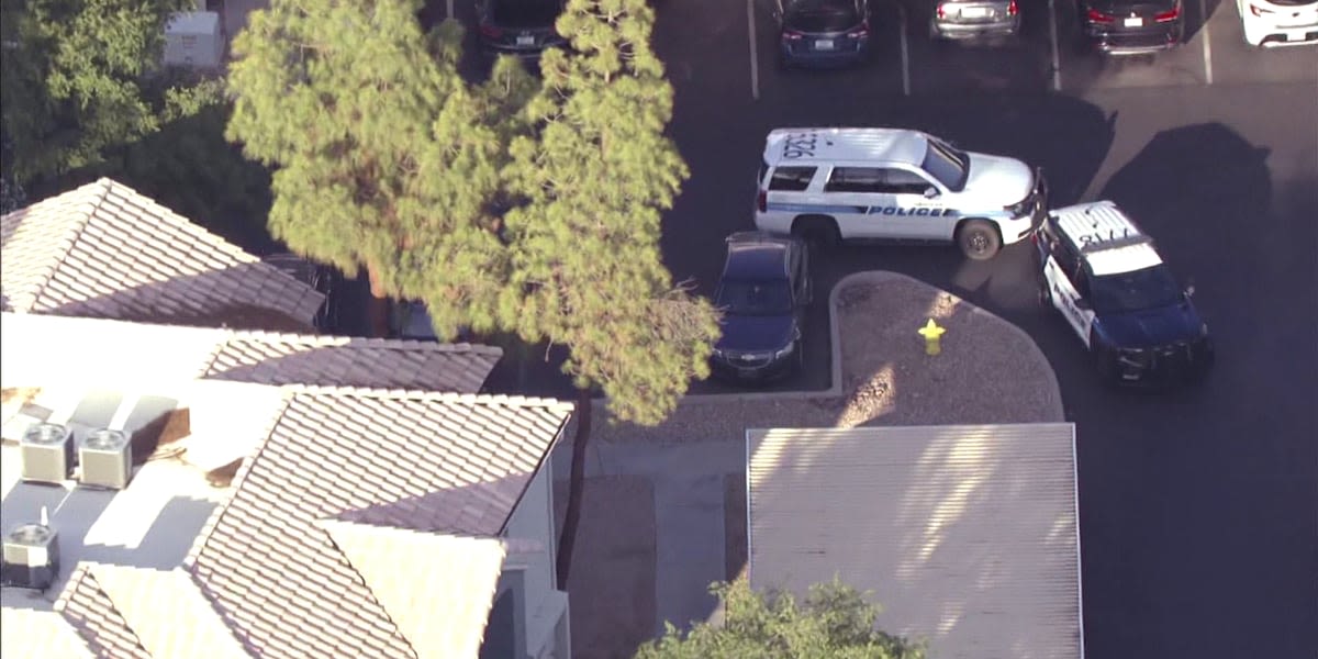 Chandler police ID woman, daughter found dead in apparent murder-suicide