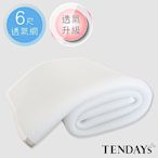 TENDAYS 立體蜂巢透氣網 加大雙人床墊用