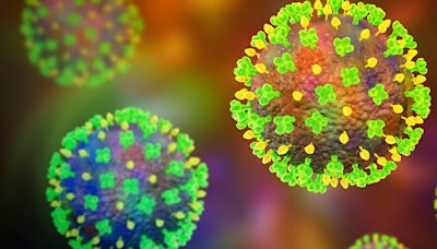 Tödliche Gefahr - Was ist das Nipah Virus und wie gefährlich ist es?