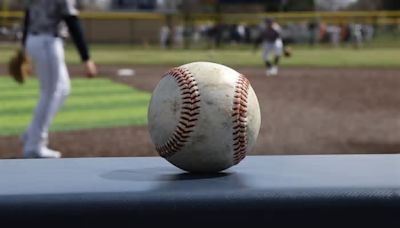 Michigan high school baseball rankings, April 17