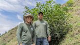La empresa de agro que cultiva y comercializa aguacate hass en Colombia