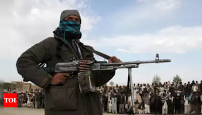 Pakistan security forces have arrested 2 key Pakistani Taliban commanders, an official says - Times of India