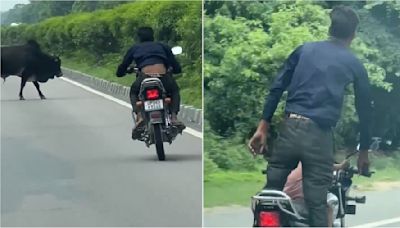 Viral VIDEO: Man Performs Dangerous Stunts, Dodges Bull On Speeding Bike With Kid In UP’s Sitapur