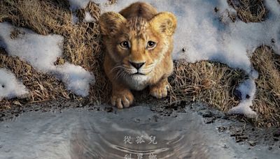 《獅子王：木法沙》首支預告曝光！碧昂絲回歸配音，劇情、上映日期一次看