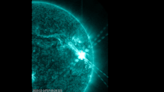 ‘Amazing’ sun flare was one of the largest solar radio events ever recorded, NASA says