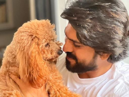 Believe it or not, Ram Charan's furry pet Rhyme gets Madame Tussauds wax statue; deets inside