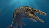 Massive Mosasaurs May Have Evolved More Than Once