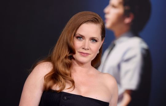 Amy Adams to Star In & Produce Comedy Lazy Susans