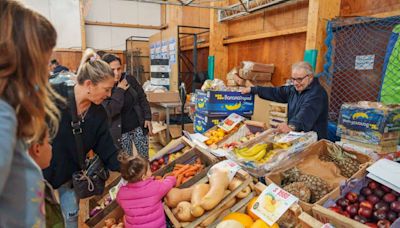 Tu Mercado TDF en Ushuaia y Río Grande - Diario El Sureño