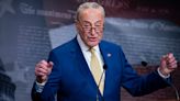 Schumer blasts Graham for ‘cynical field trip’ to border