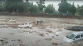 Cars, Buses Swept Away By Strong Currents In Haridwar After Heavy Rain