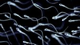 More men are getting their sperm checked, doctors say. Should you get a semen analysis?