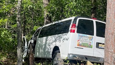 Several Alabama elementary students hospitalized after van crashes into tree