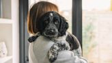 11 reasons you have the puppy blues and what to do about it