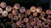 Copper Steadies After Biggest Decline in Almost Two Years