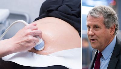 'Pregnant persons': Ohio Sen Sherrod Brown scrubbed 'women' from bill on pregnancy