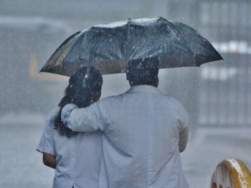 Mumbai Rains: Local train services affected on Central line; schools, colleges to remain closed on Thursday | Today News