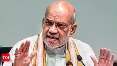 Amit Shah counters opposition, says new laws duly debated in House | India News - Times of India