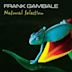 Natural Selection (Frank Gambale album)