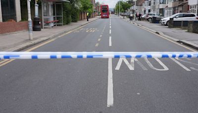 Boy, 14, killed in Hainault sword attack named