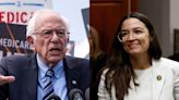 AOC has privately fretted about the toxicity of 'Bernie Bros' and misogyny within left-wing politics, book reveals