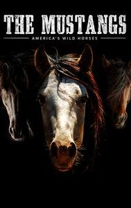 The Mustangs: America's Wild Horses