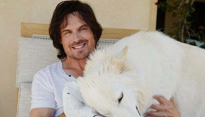 Actor Ian Somerhalder Shares An Important Message About Pet Health