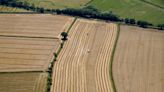 Farmers to be paid hundreds of pounds per hectare to maintain habitats