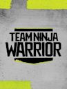 Team Ninja Warrior