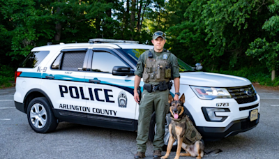 PHOTOS: Arlington County police wishing K-9 officer a ‘relaxing retirement’