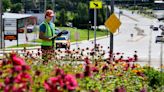 Local New England Botanic Garden interns plants flowers, trees around Worcester