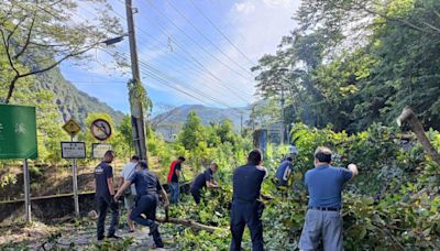 山區連日午後豪雨致路樹倒塌，台中警消與民眾協力恢復通行 | 蕃新聞