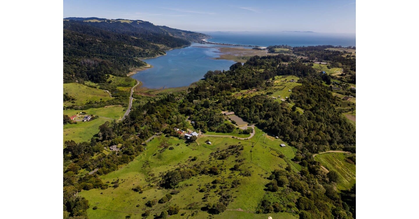 Celebrity Homes: Annie Leibovitz's Picture-Perfect California Hideaway Is For Sale