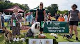 Dog-friendly festival returning 'bigger and better' this summer