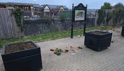 Anger and upset as vandals trash esplanade flower beds
