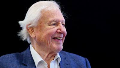 Sir David Attenborough to present National Geographic documentary about oceans