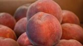 Palisade peaches are arriving. Here's how to make sure you're buying the real thing.