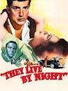 They Live by Night