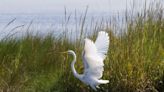 Major project to help save Louisiana's eroding coast wins key approval as debate continues