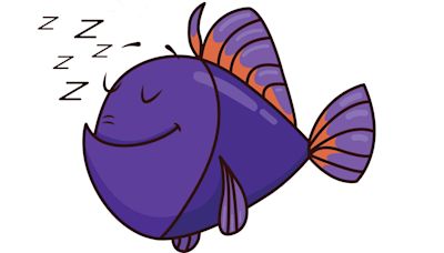 Do Fish Sleep? They Have to ... Right?